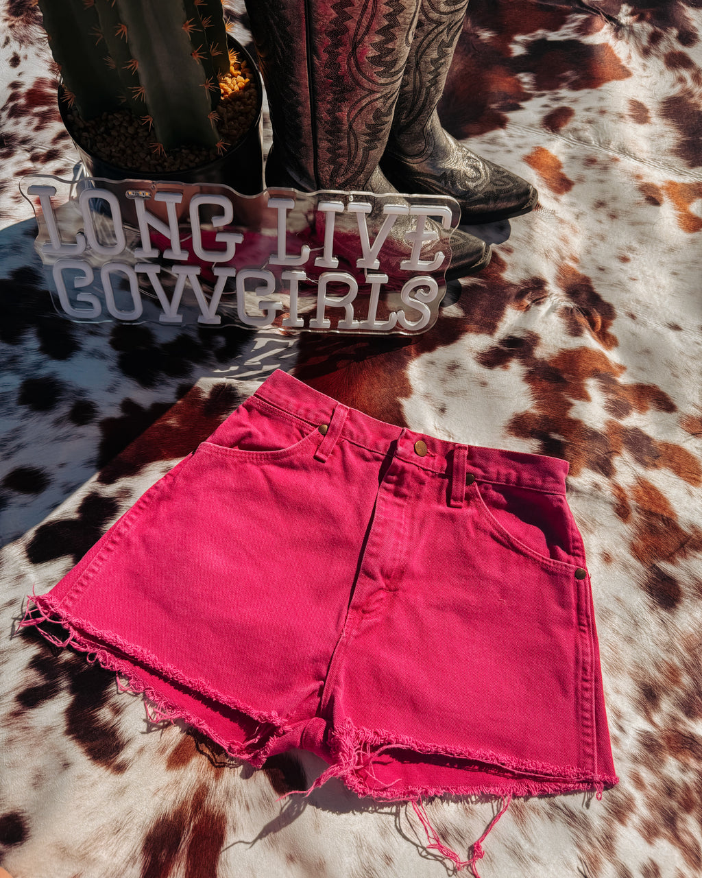 Cowgirl Barbie Wranglers 24”