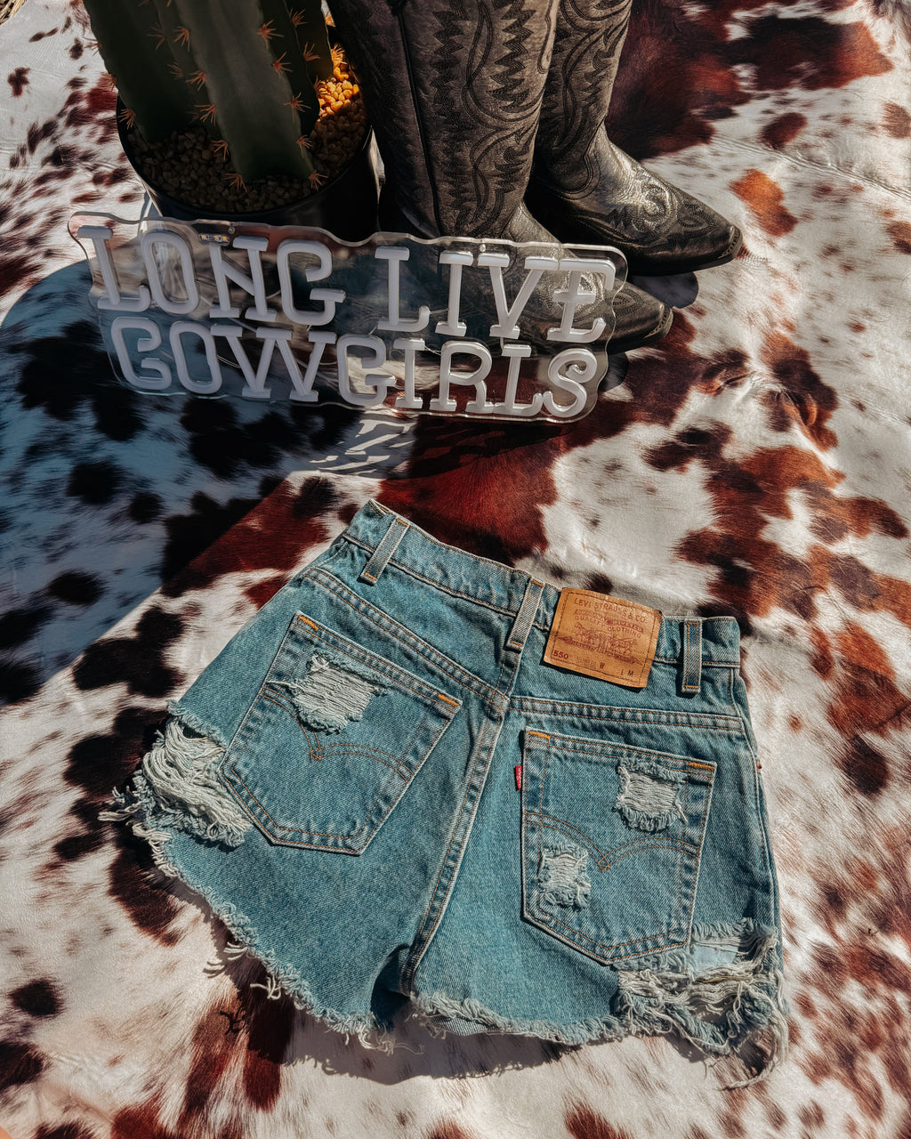 Broke-In Blue Levi’s 25