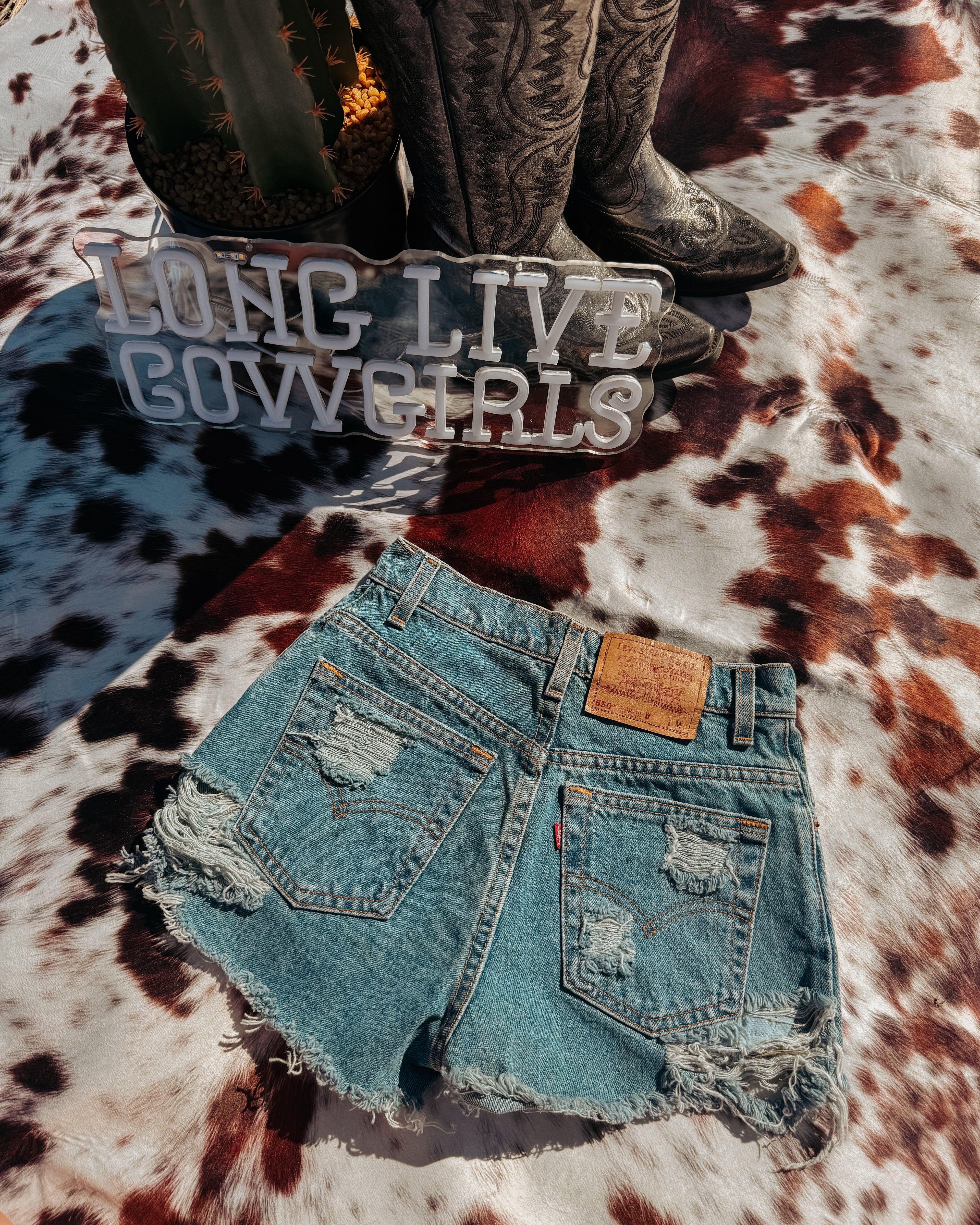 Broke-In Blue Levi’s 25