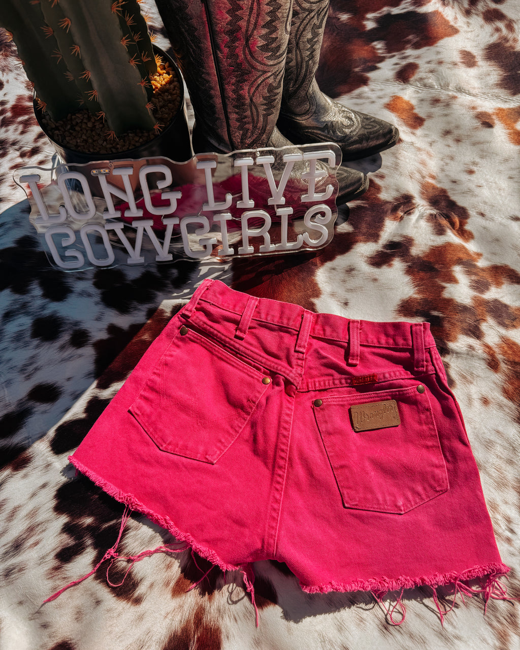 Cowgirl Barbie Wranglers 24”