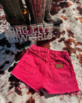 Cowgirl Barbie Wranglers 24”
