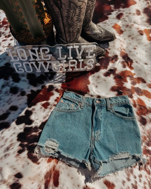 Broke-In Blue Levi’s 25