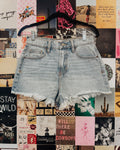 Sunday Saddle Raw Hem Shorts
