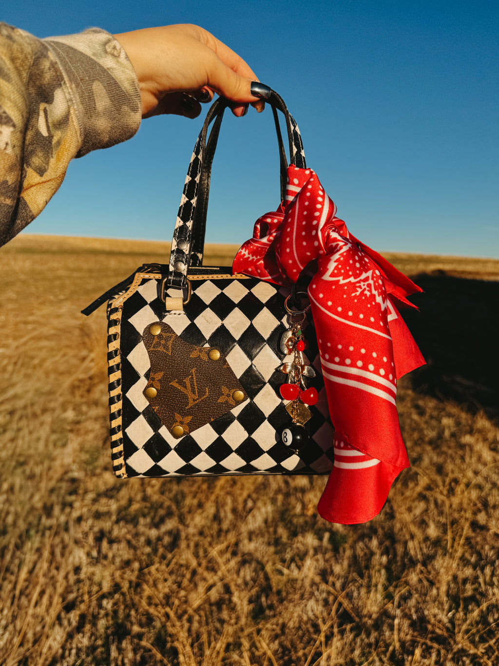 THE WILDCARD MINI CROSSBODY