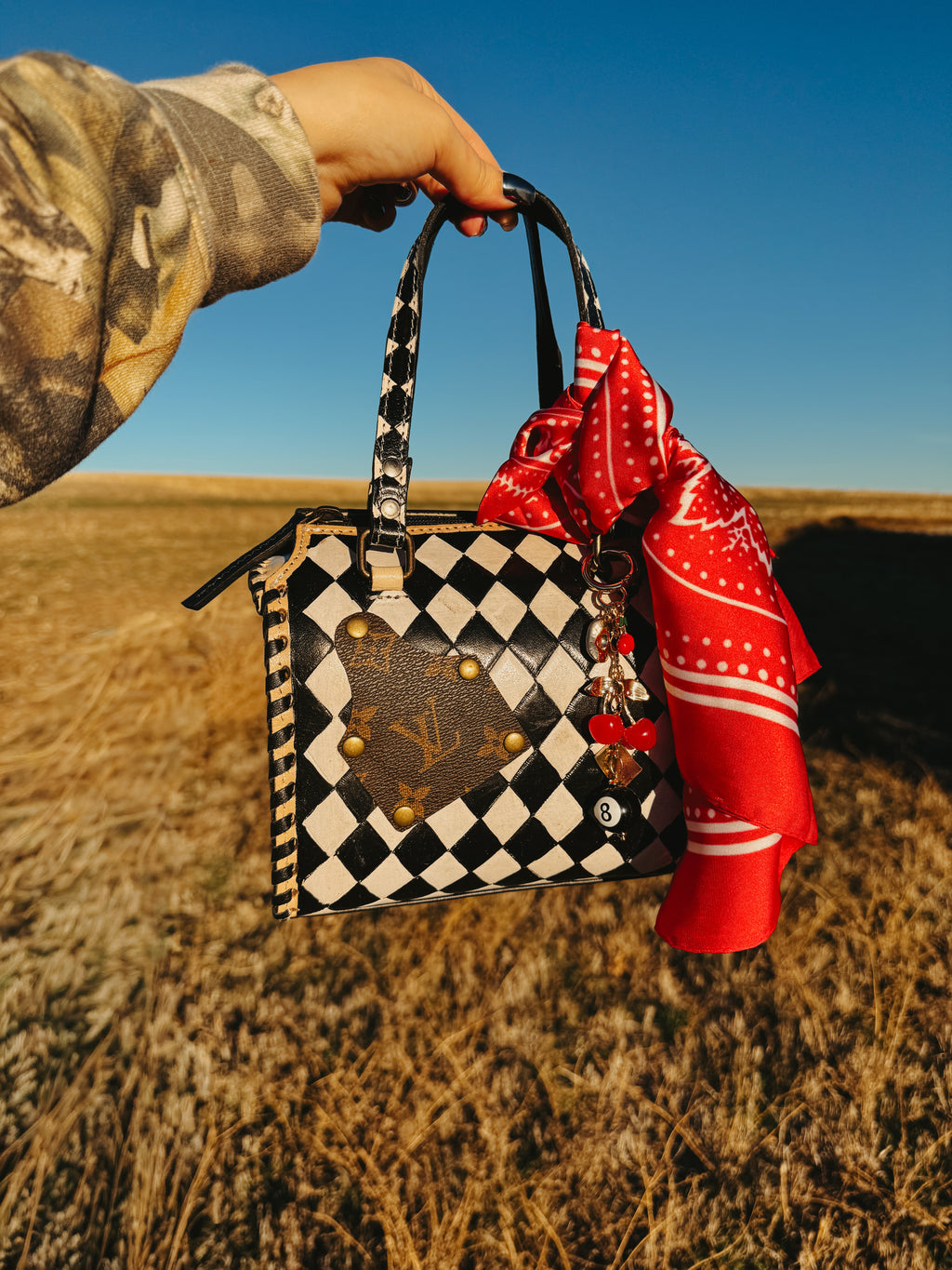 THE WILDCARD MINI CROSSBODY