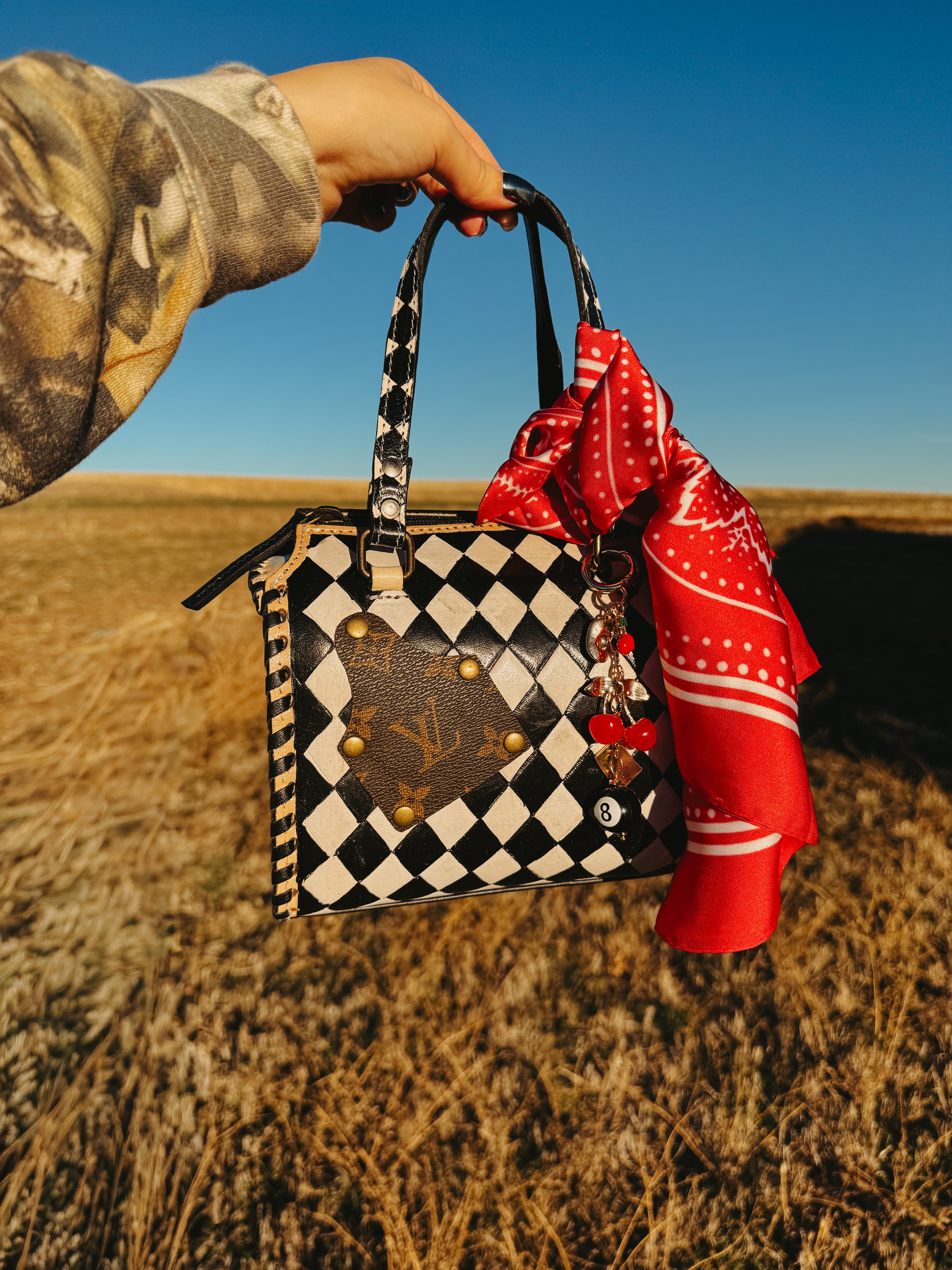 THE WILDCARD MINI CROSSBODY