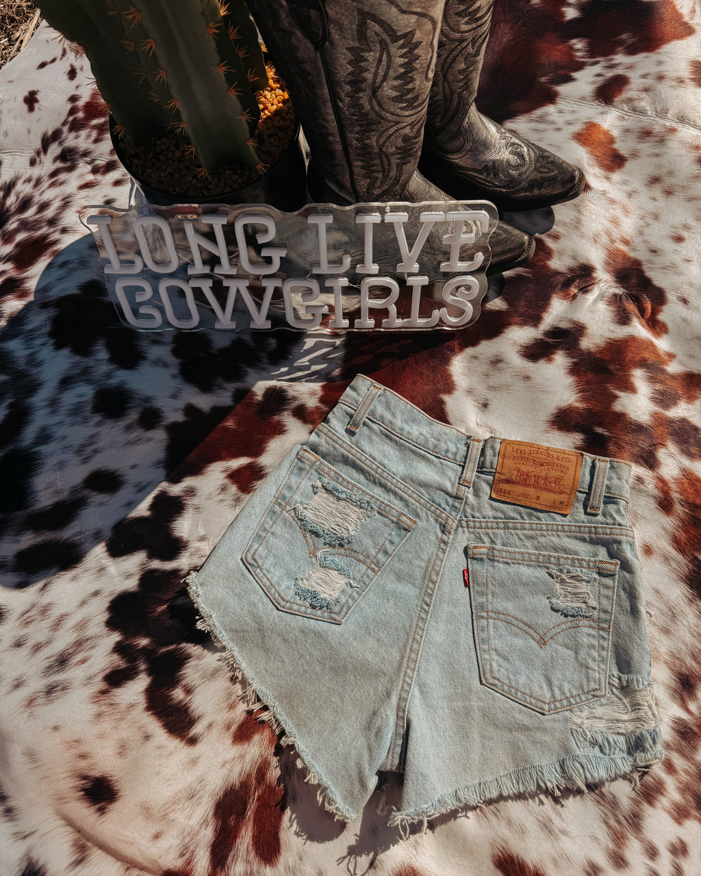 Everyday Cowgirl Levi’s 24”