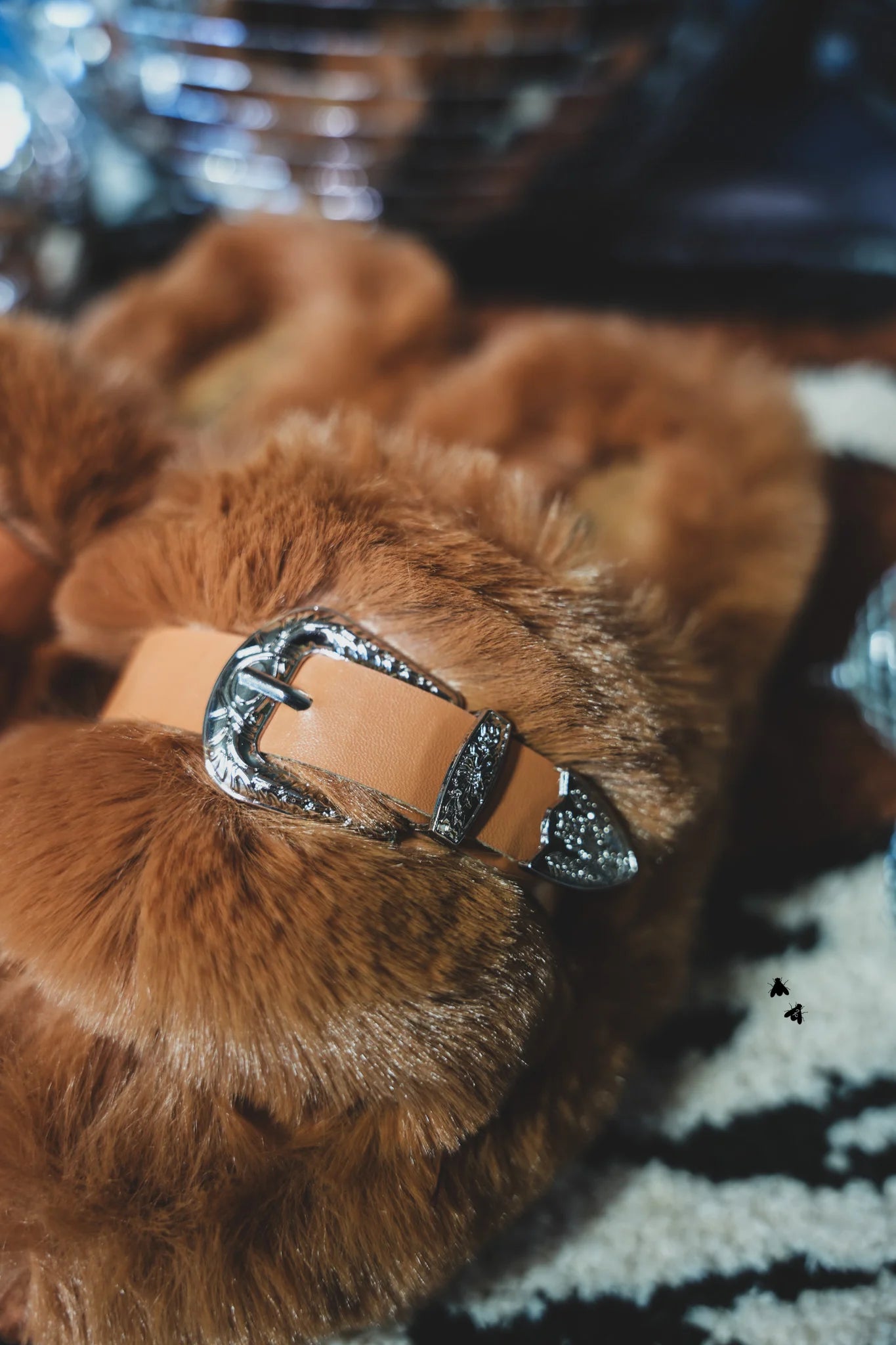 HOME BUCKLES *SADDLE