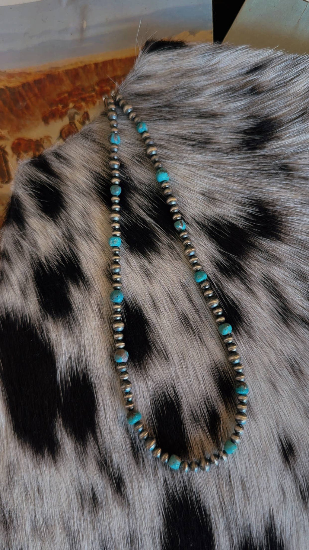 Painted Desert Necklace
